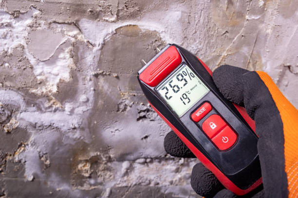 Best Mold Testing  in Bon Aqua Junction, TN
